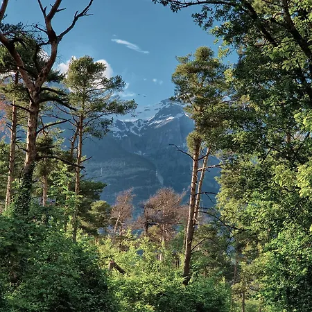Luxe tent Woodmood Glamping - Into The Nature