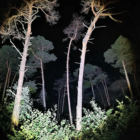 Luxe tent Woodmood Glamping - Into The Nature *