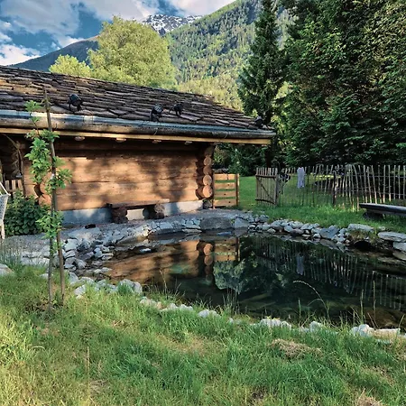 Woodmood Glamping - Into The Nature Hotel